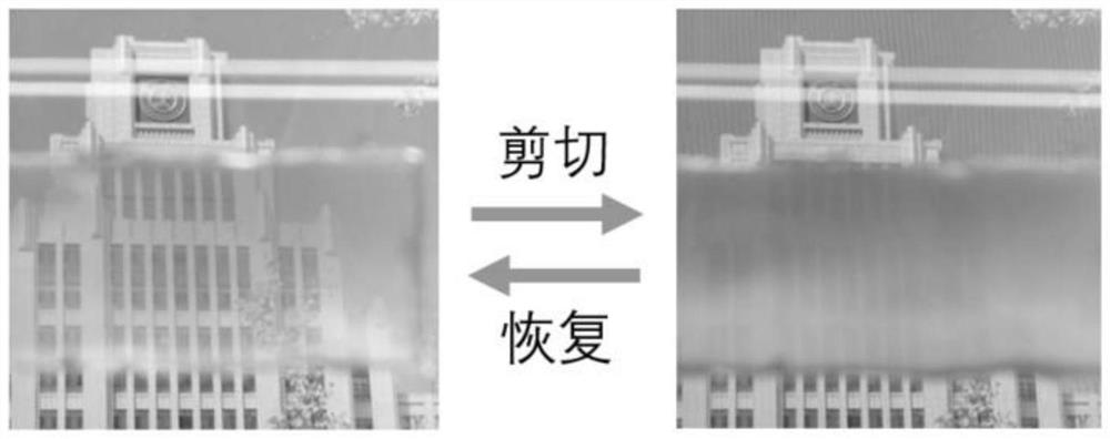 Flexible film with light transmittance capable of being regulated and controlled through shear strain and preparation method of flexible film