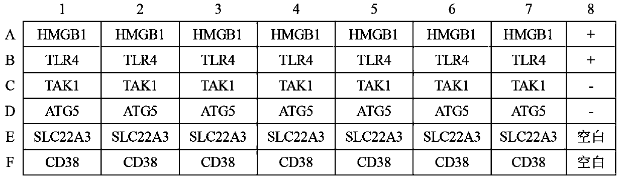 ELISA kit for early diagnosis of esophageal squamous cell carcinoma