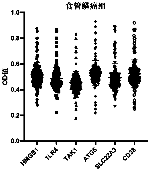 ELISA kit for early diagnosis of esophageal squamous cell carcinoma