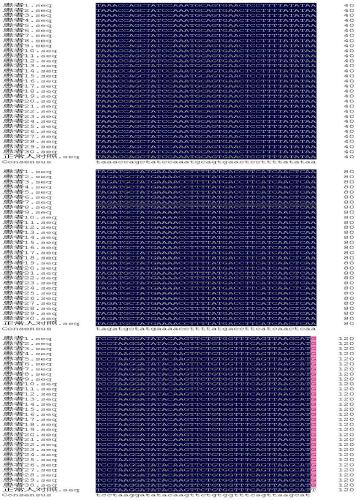 Kits for the detection of juvenile osteoporosis