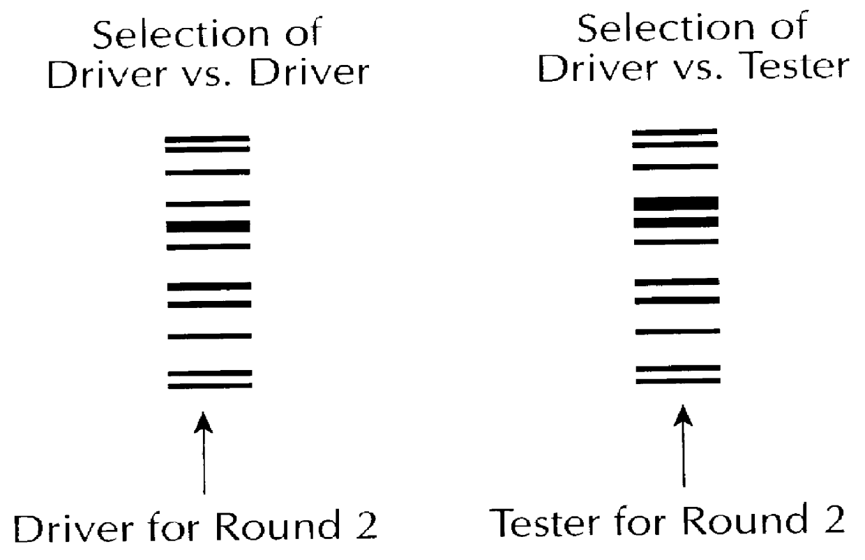 Method for identifying and/or quantifying expression of nucleic acid molecules in a sample