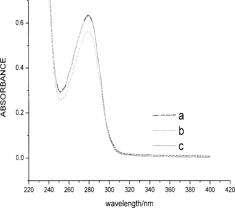 Method for preparing modification functional groups on external surfaces of pores of mesoporous silica material