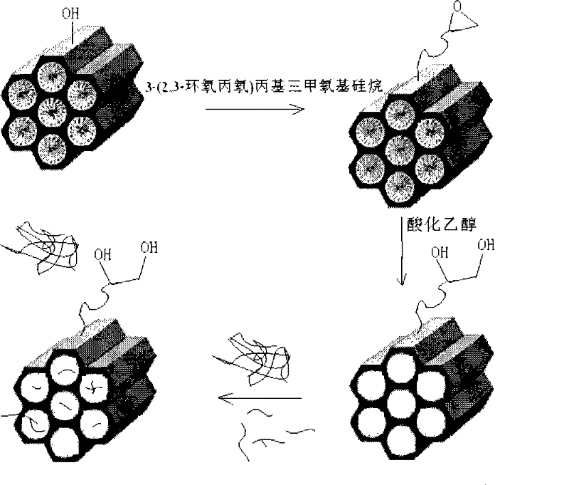 Method for preparing modification functional groups on external surfaces of pores of mesoporous silica material