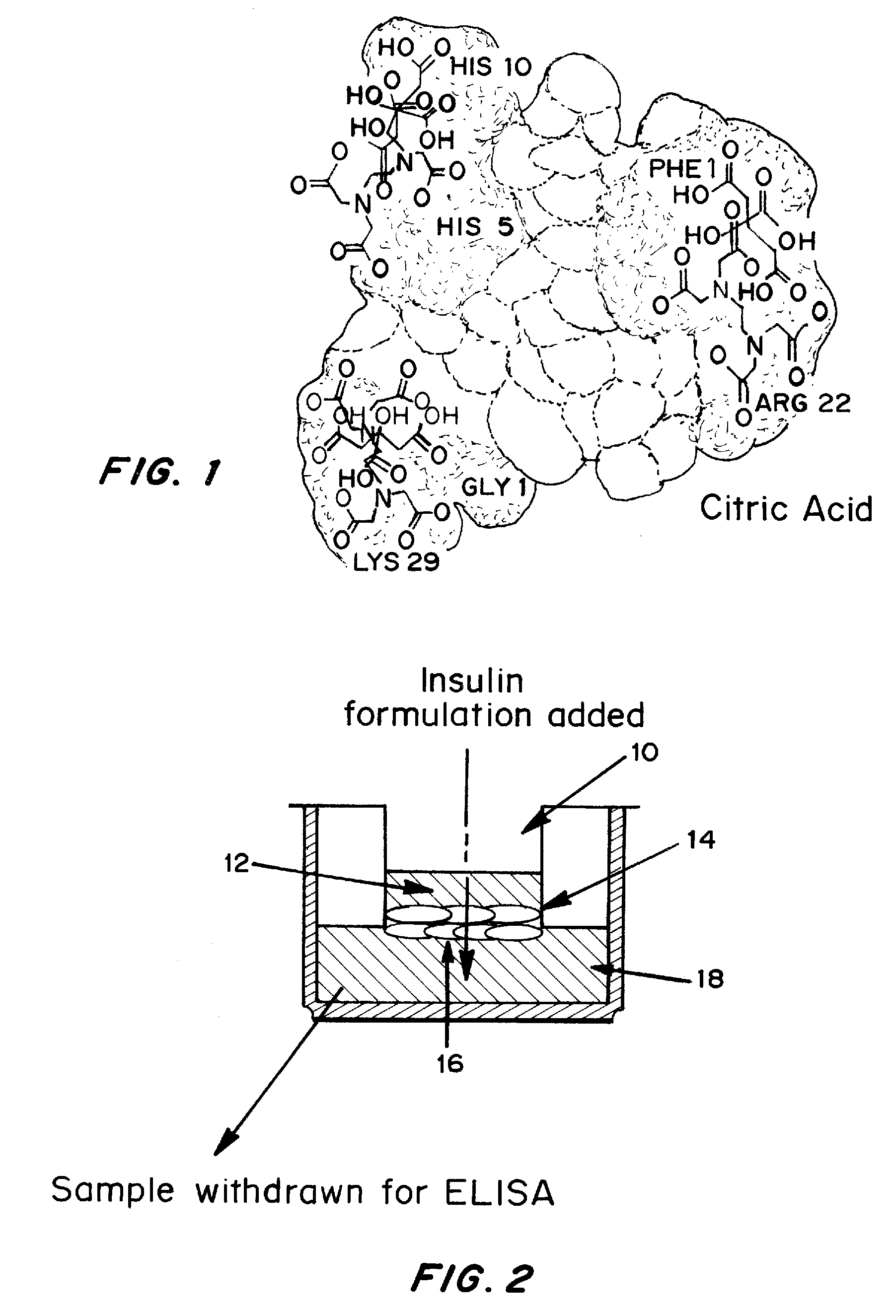 Rapid mucosal gel or film insulin compositions