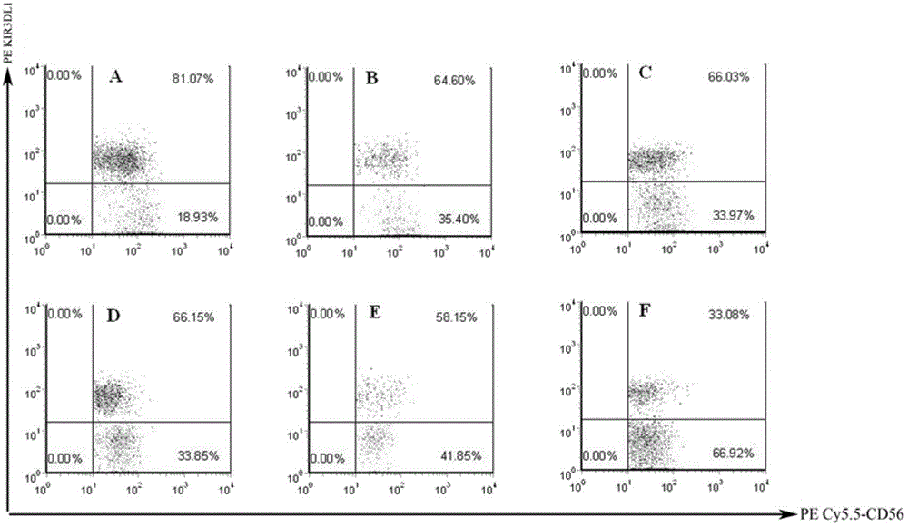 Small ribonucleic acid interference molecule for specifically inhibiting NK (Natural Killer) cell receptor KIR3DL1 and application of small ribonucleic acid interference molecule