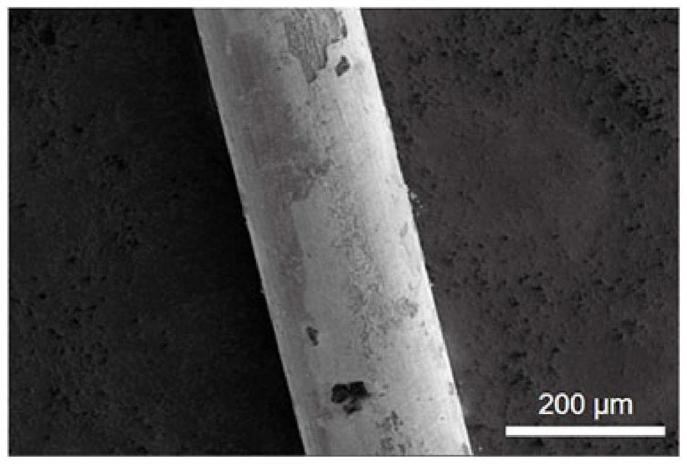 Multi-thorn nanogold memory alloy stent with radiotherapy sensitization function as well as preparation method and application of multi-thorn nanogold memory alloy stent