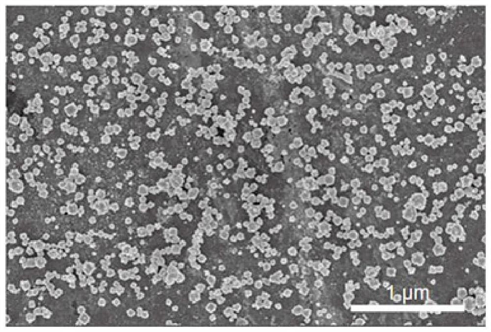 Multi-thorn nanogold memory alloy stent with radiotherapy sensitization function as well as preparation method and application of multi-thorn nanogold memory alloy stent