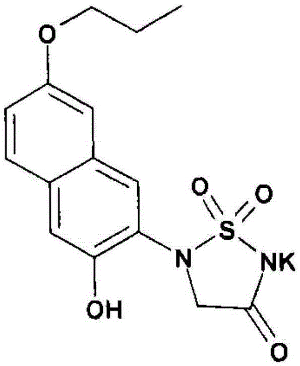 Anti-diabetes oral pharmaceutical composition