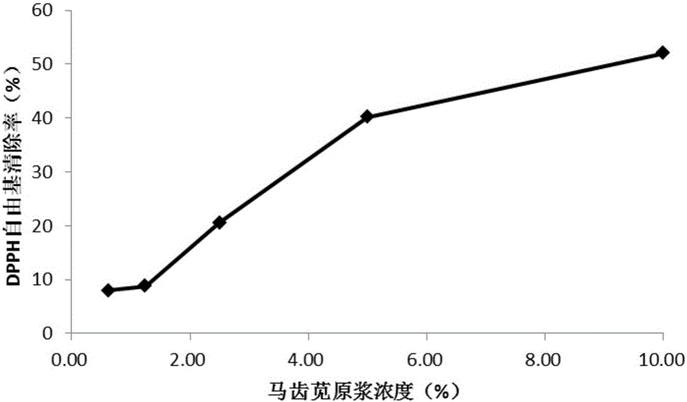 Purslane fermentation protoplasm ceramic and preparation method and application