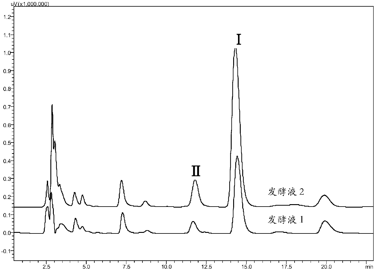 Recombinant saccharomyces cerevisiae strain and application thereof to producing tyrosol and/or salidroside