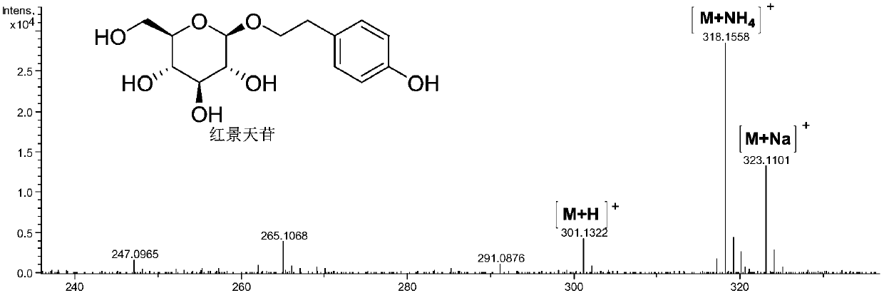 Recombinant saccharomyces cerevisiae strain and application thereof to producing tyrosol and/or salidroside