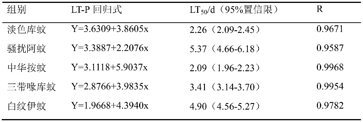 Novel application of bionectria ochroleuca and method for preventing and treating mosquito vector