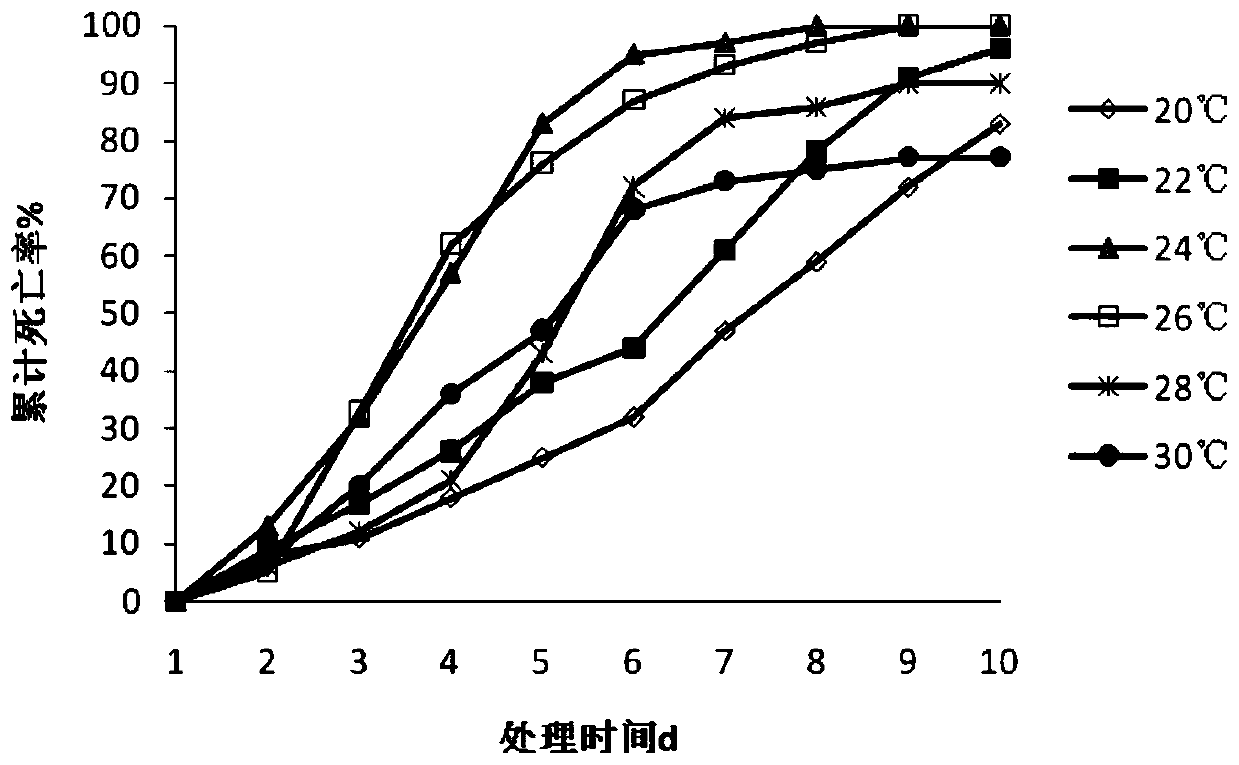 Novel application of bionectria ochroleuca and method for preventing and treating mosquito vector