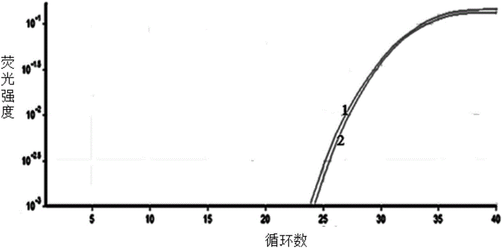 Method for efficiently and quickly screening HIV P24 antigen nucleic acid aptamer