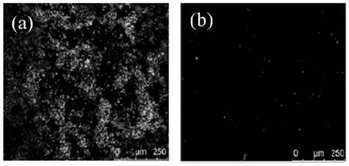 A powder core wire material for preparing corrosion-resistant, anti-fouling, self-lubricating functional coatings and coating preparation method