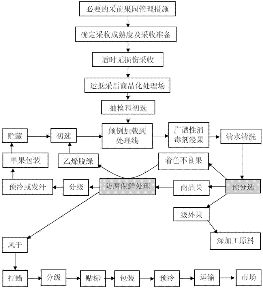 Citrus fruit post-harvest treatment method