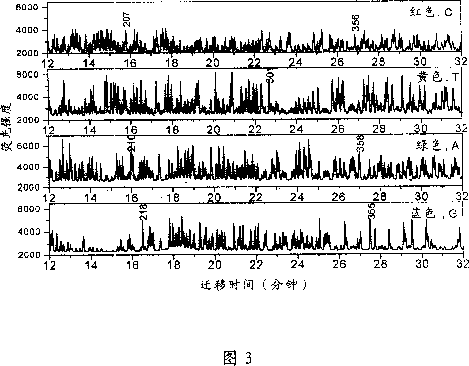 Polymer/gold nano particle composite medium for use in capillary electrophoresis DNA sequencing and method for preparing same