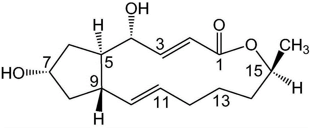 Brefeldin A ester derivatives and their preparation and application