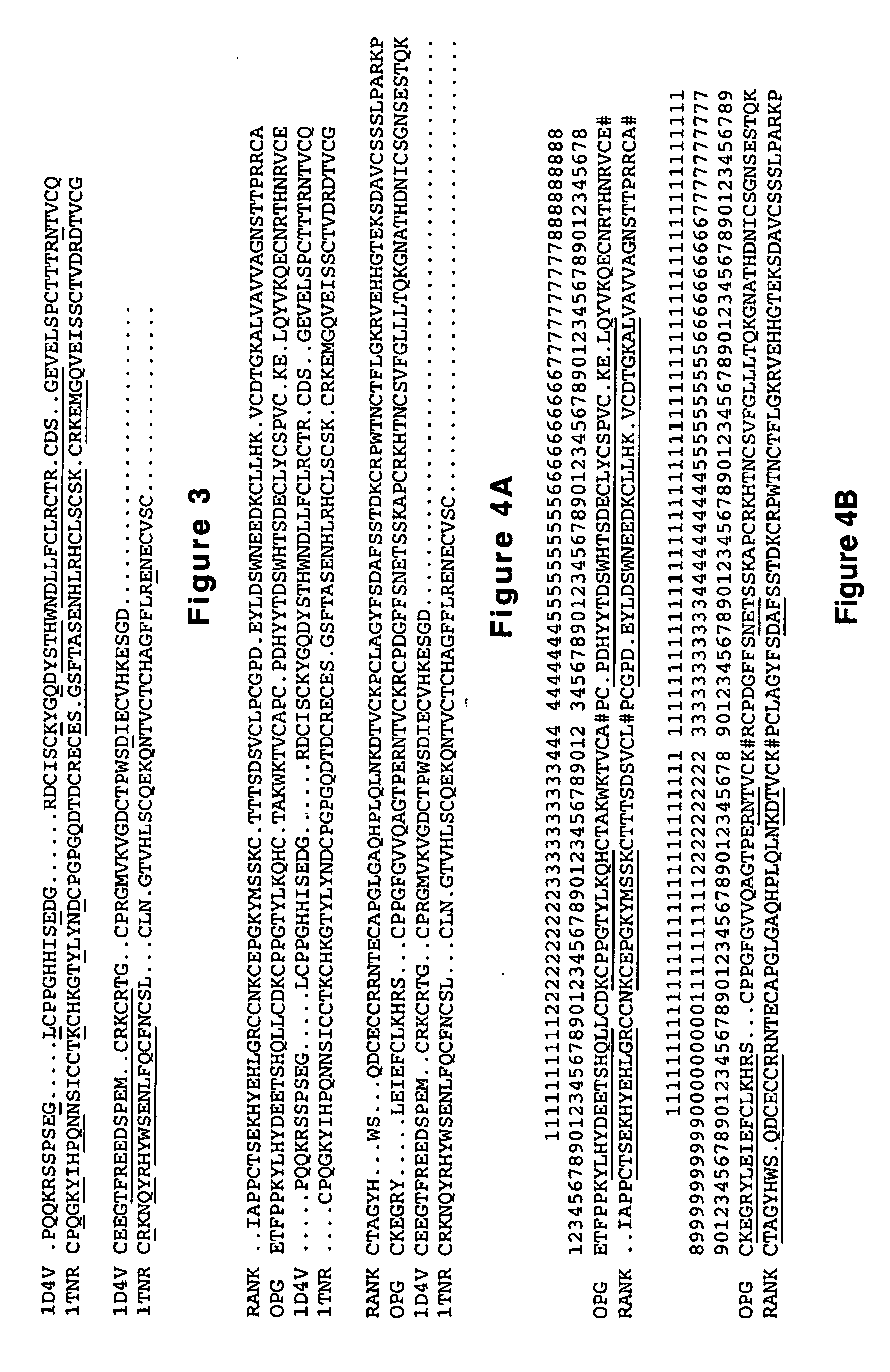 Rank ligand-binding polypeptides