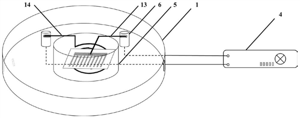 A testing device and method for a thin-film electrode of a solid oxide fuel cell