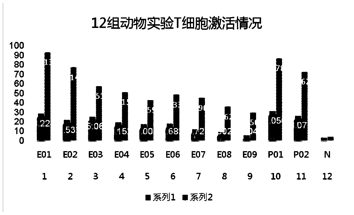 African swine fever B and T cell tandem epitope fusion vaccine