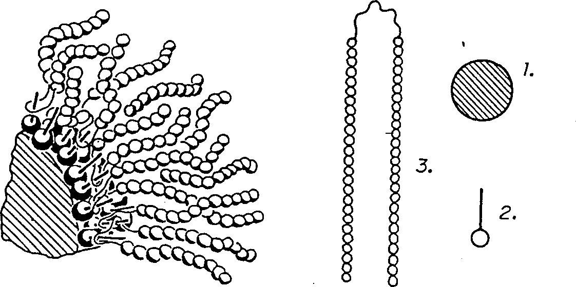 Particles for NMR imaging and method of manufacture