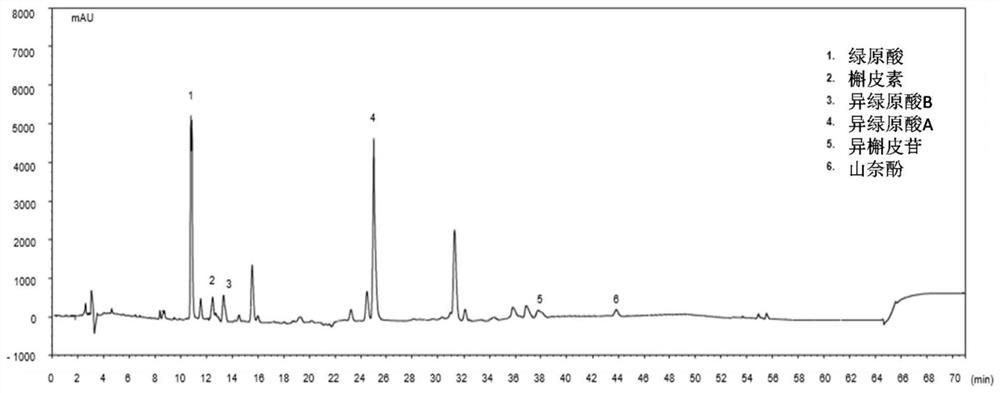 A kind of Northeast thorn ginseng chlorogenic acid extract and its preparation method and application