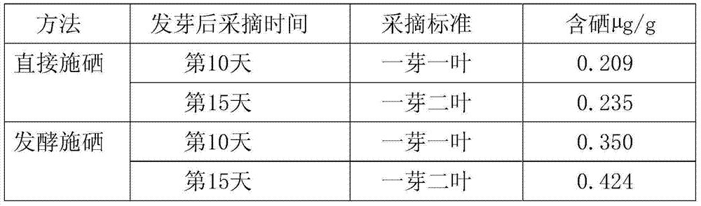 Healthy and ecological planting method of organic Se-enriched tea trees