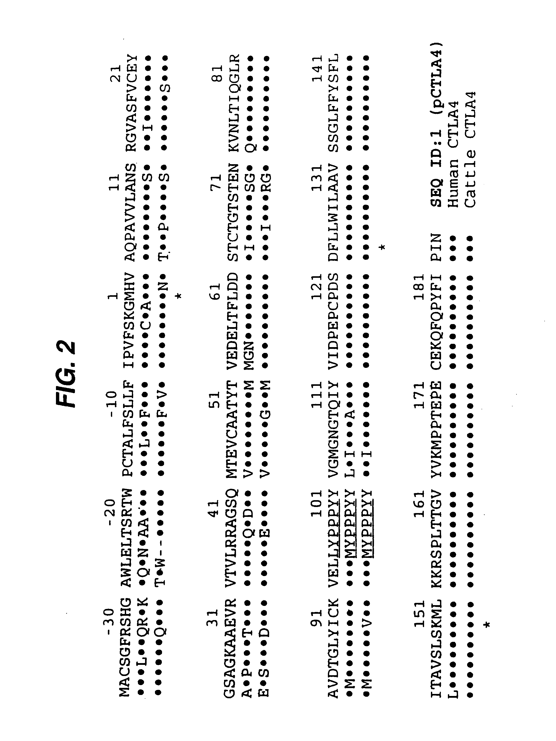 Immunosuppression by blocking T cell co-stimulation signal 2 (B7/CD28 interaction)