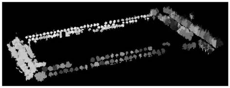 Urban tree three-dimensional visualization method based on vehicle-mounted laser point cloud data