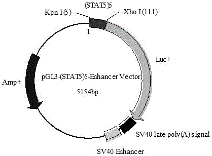 Method for detecting fowl PRL based on JAK-STAT 5 signal transduction pathway