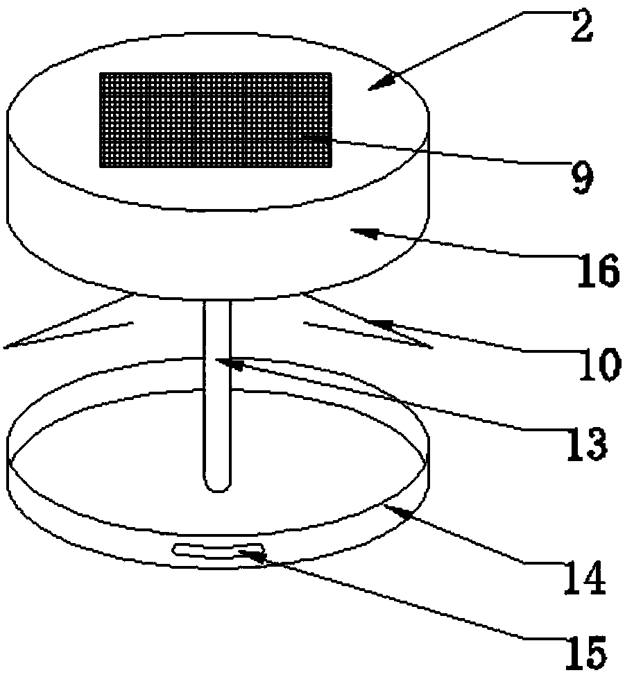 Sunlight blocking and sunscreen cover for automobile