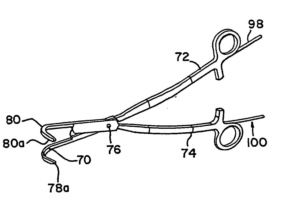 Transmural ablation device with parallel electrodes