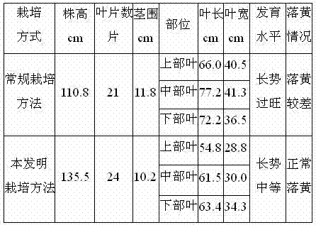 Henan tobacco number 7 flue-cured tobacco variety cultivation method