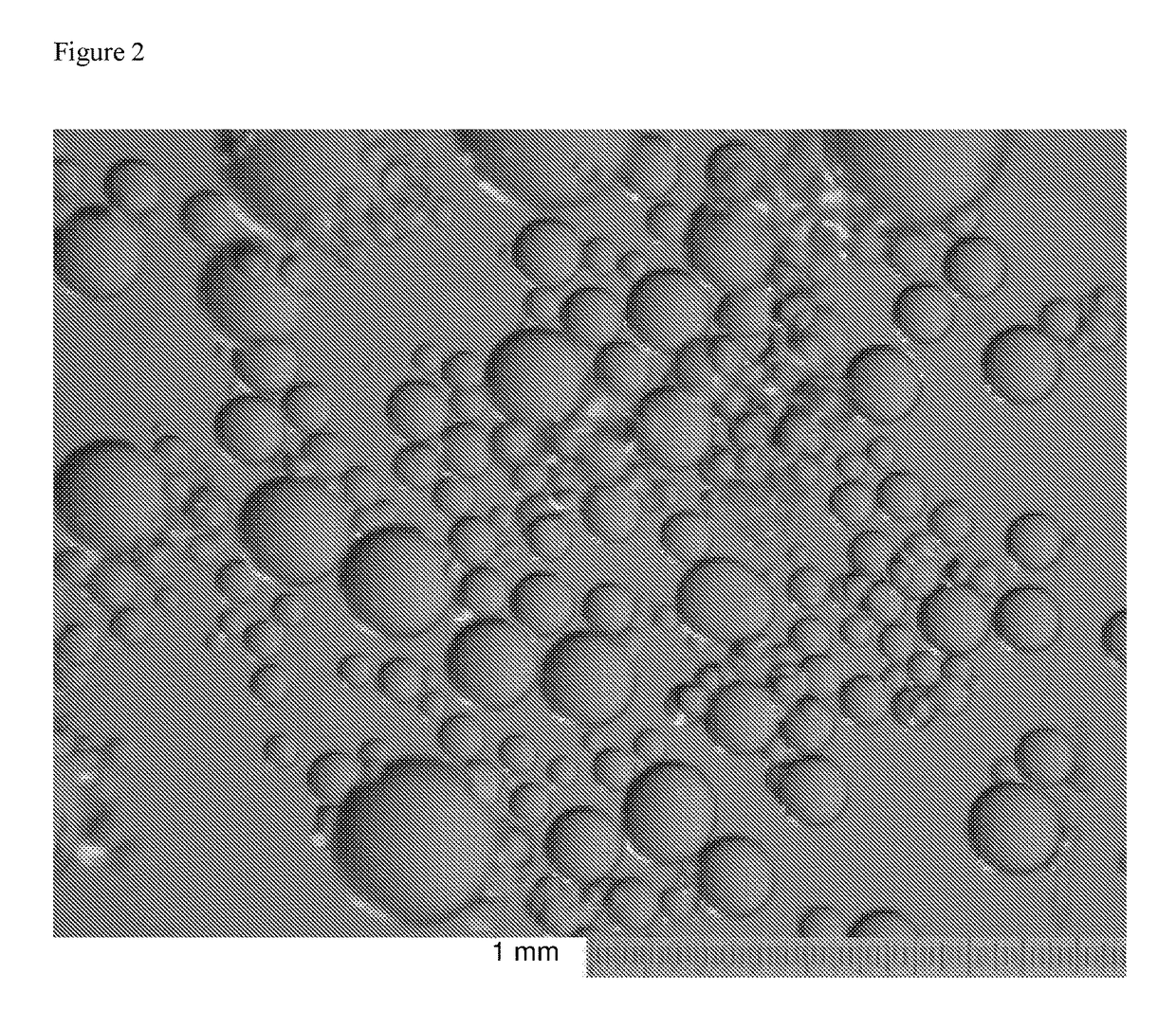 Process for the synthesis of poly (vinyl alcohol) and/or poly (vinyl acetate) with spherical morphology and shell-and-nucleus structure and its use in vascular embolization