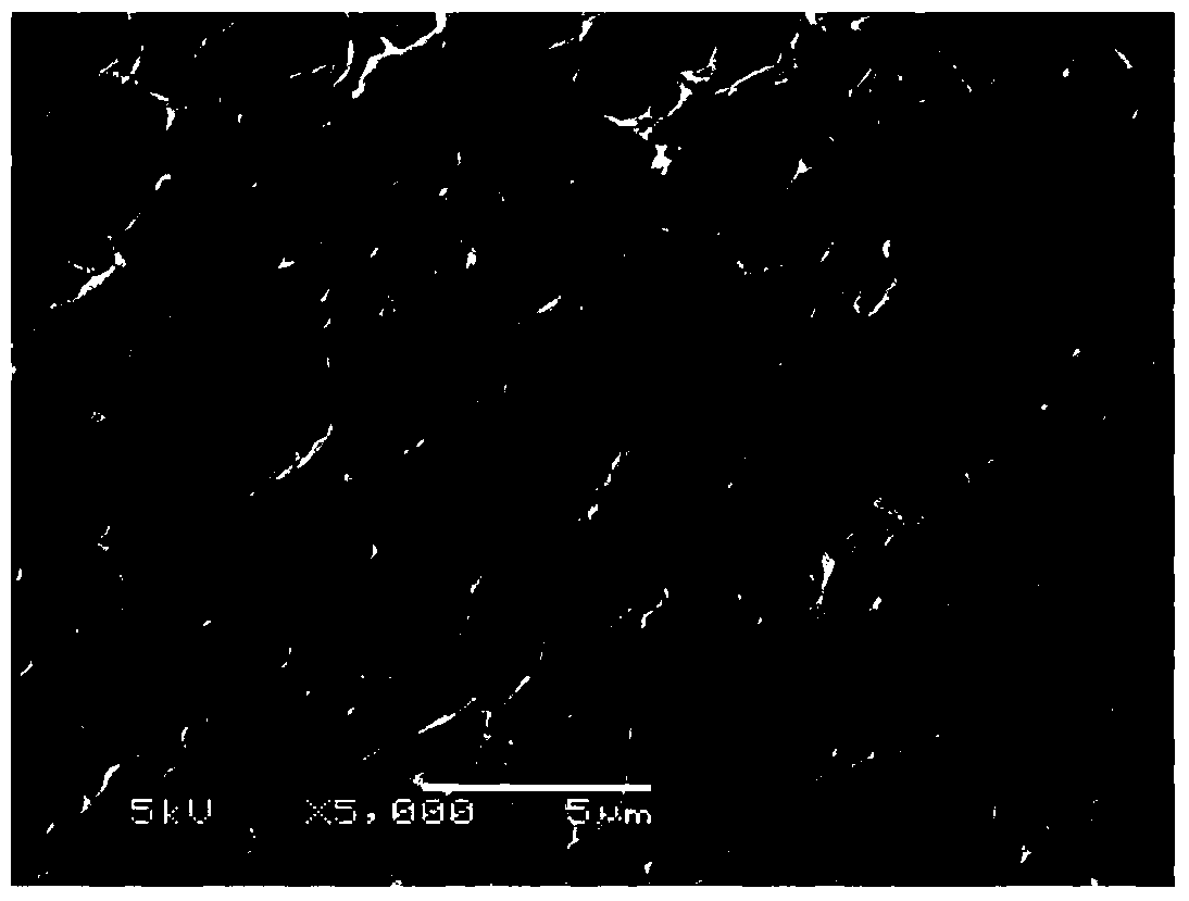 Method for preparing clay modified polyvinyl alcohol antifouling hydrogel