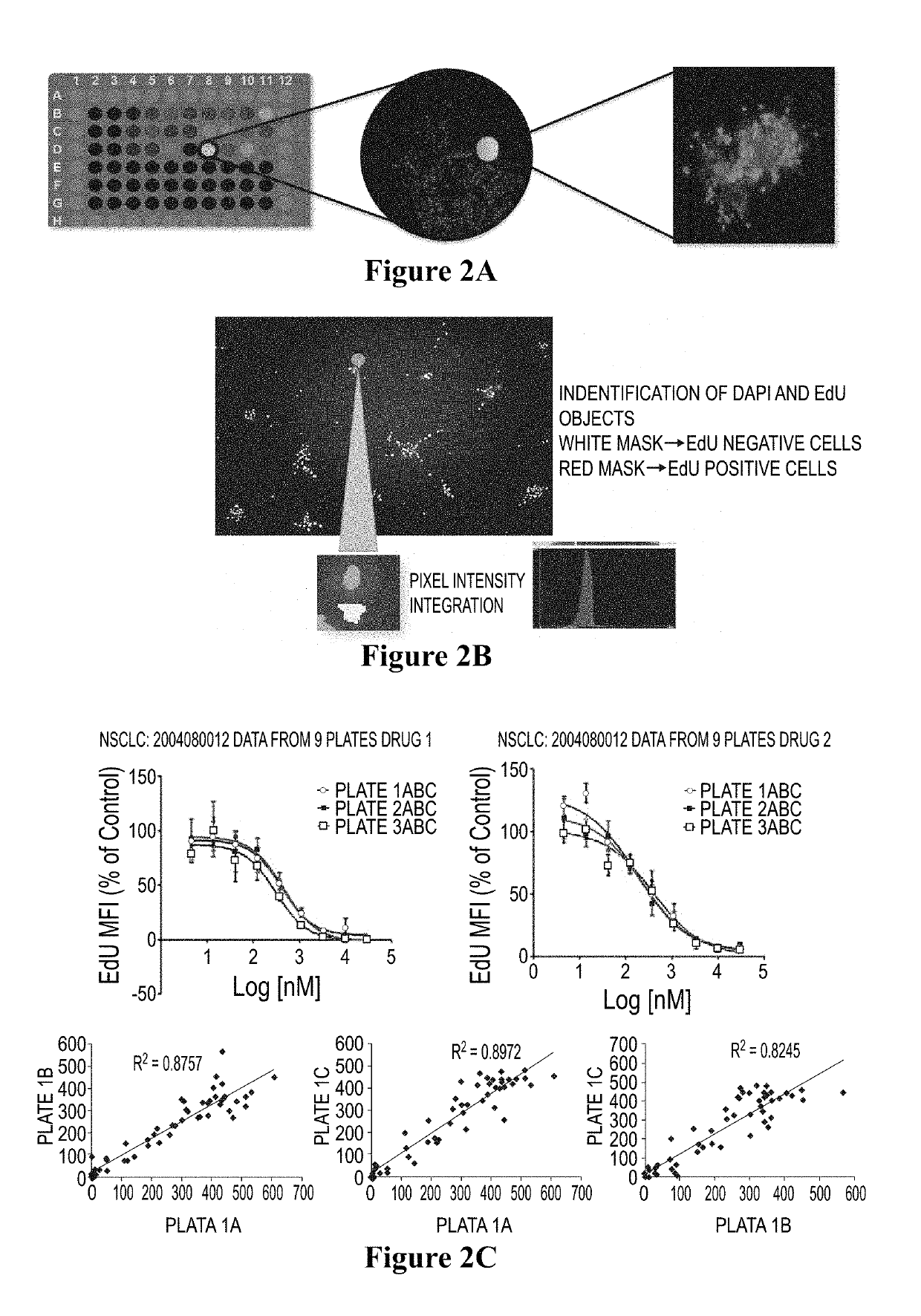 3D cell culture and ex vivo drug testing methods