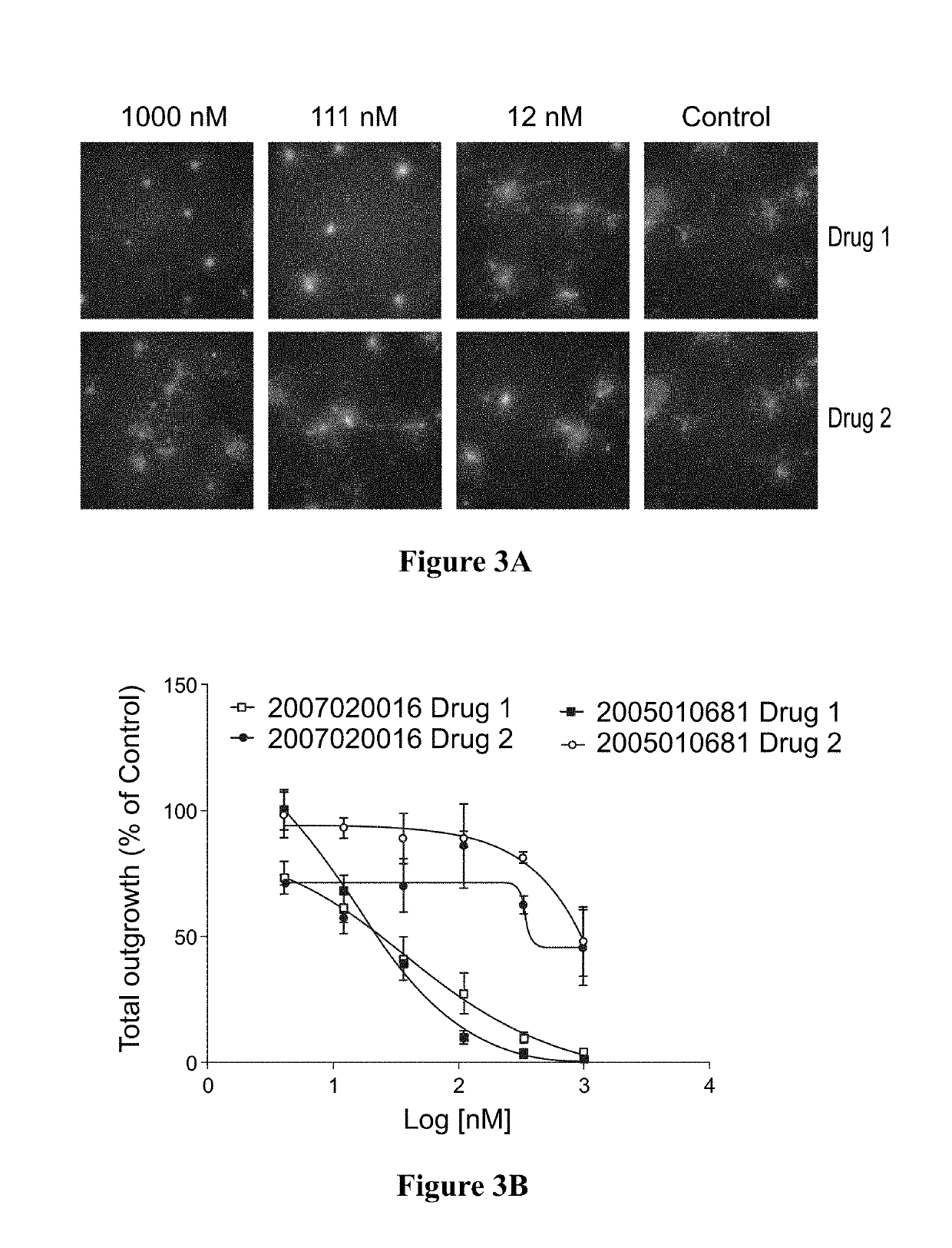 3D cell culture and ex vivo drug testing methods