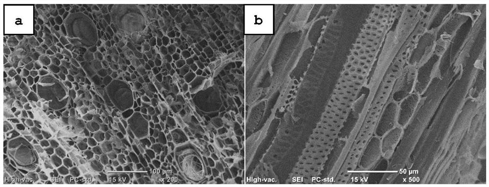 A kind of preparation method of magnesium nitrogen co-doped high specific surface area biomass activated carbon