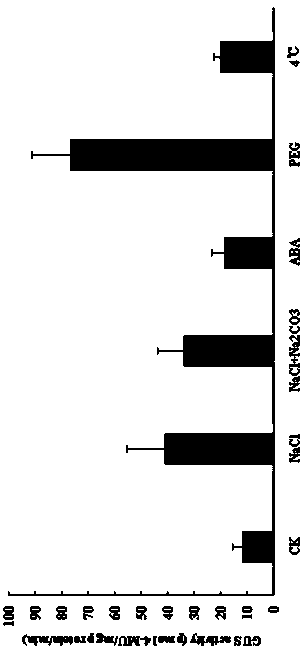 A plant drought-inducible artificially synthesized promoter sp2 and its application