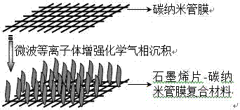 A flexible composite material of graphene sheet-carbon nanotube film and its preparation method and application