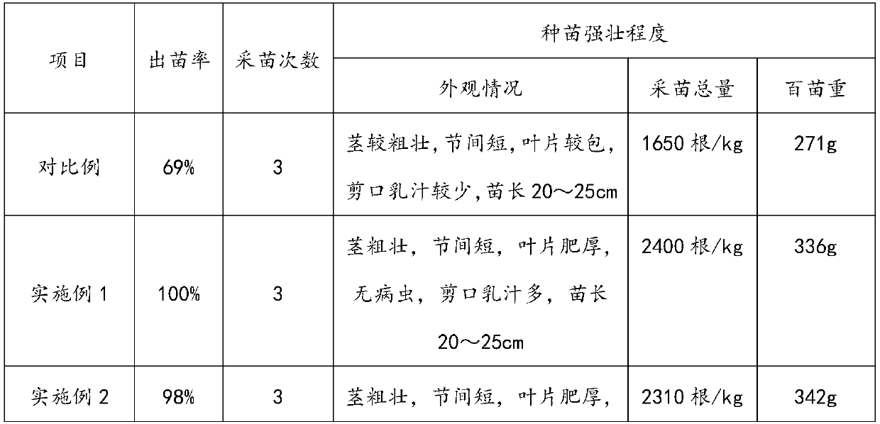 Method for cultivating miniature sweet potato seedlings