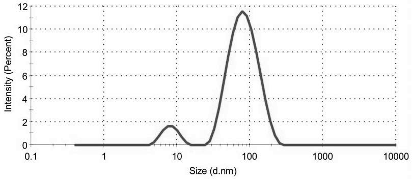 Bionic nano-drug co-loaded with JTC801 and DNA methylated transferase inhibitor and preparation method and application thereof