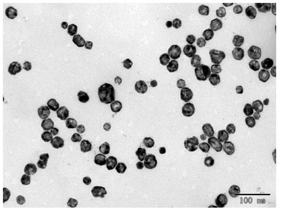 Bionic nano-drug co-loaded with JTC801 and DNA methylated transferase inhibitor and preparation method and application thereof