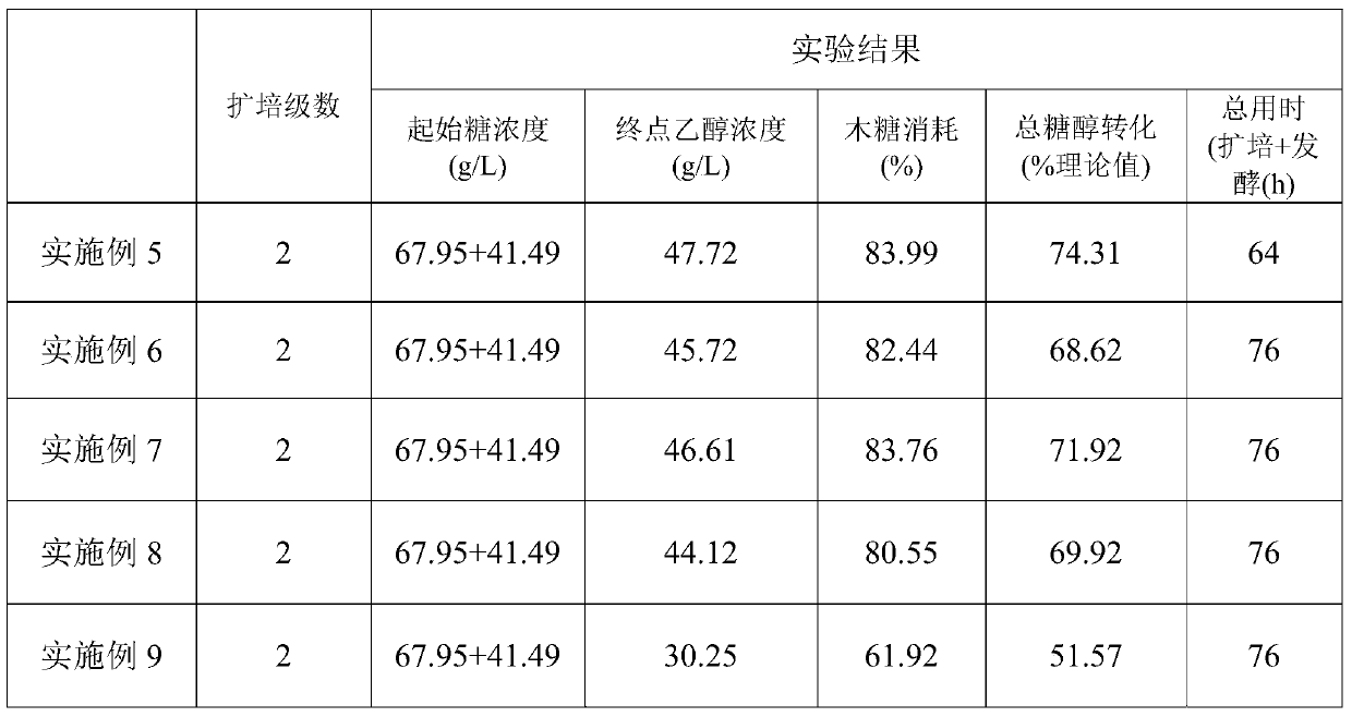 A kind of method that utilizes microorganism to ferment lignocellulosic raw material to produce ethanol