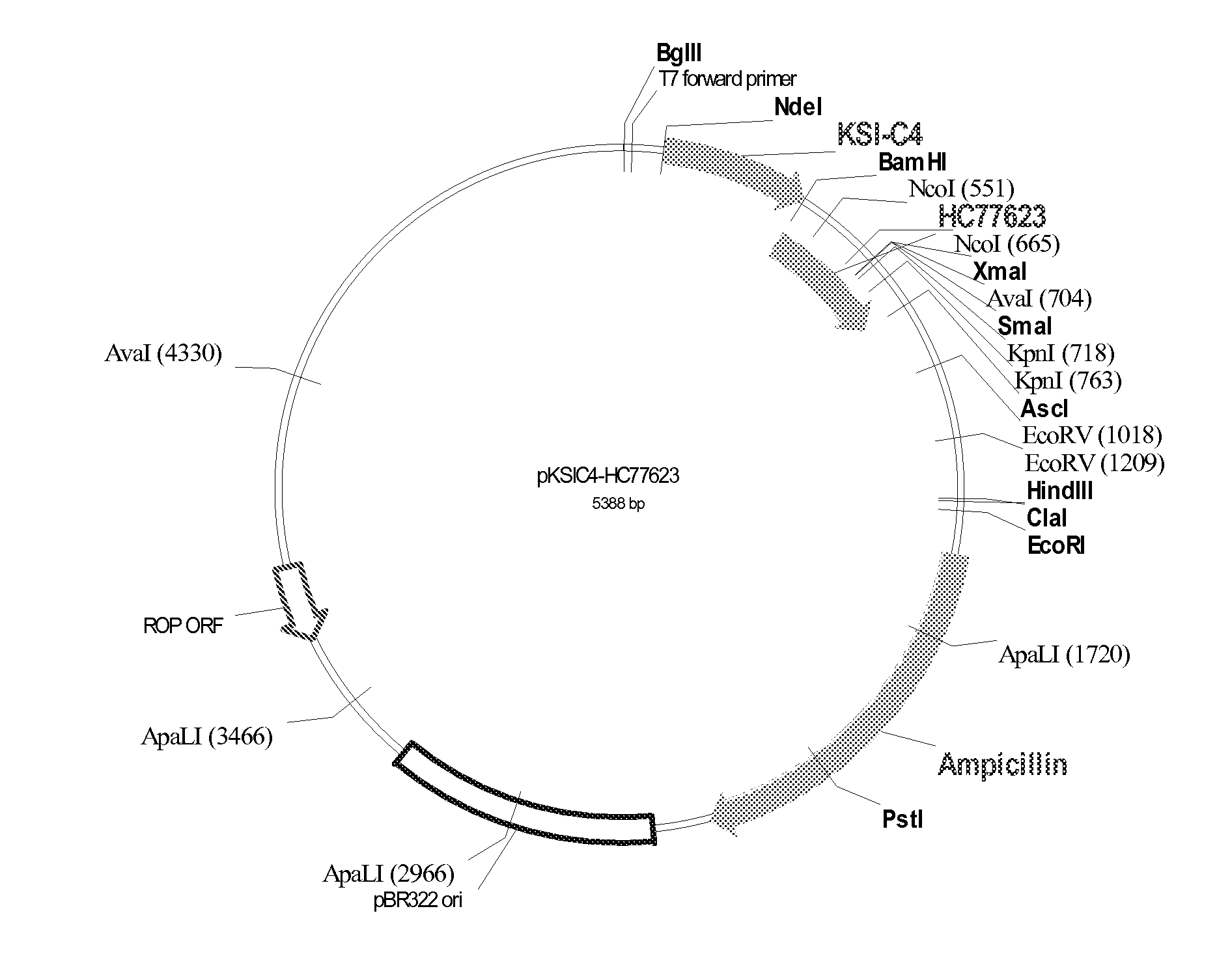 Peptide-based conditioners