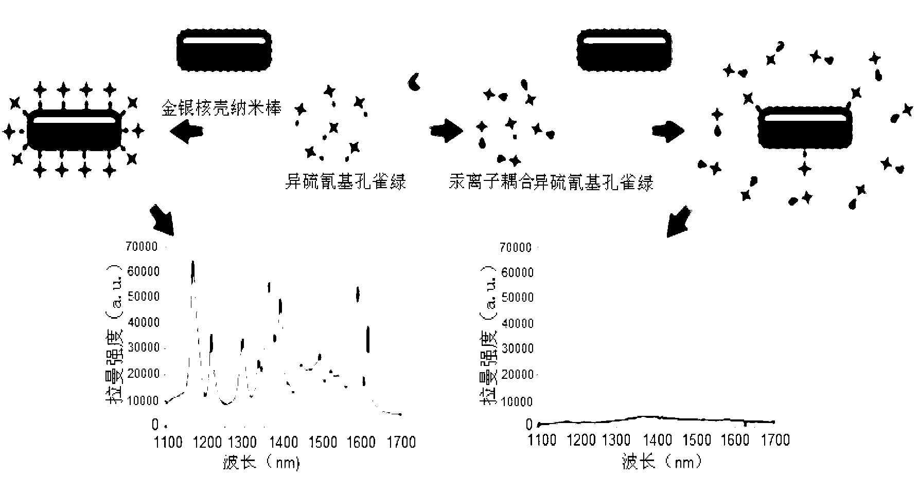 Preparation method and application of mercury ion detection probe