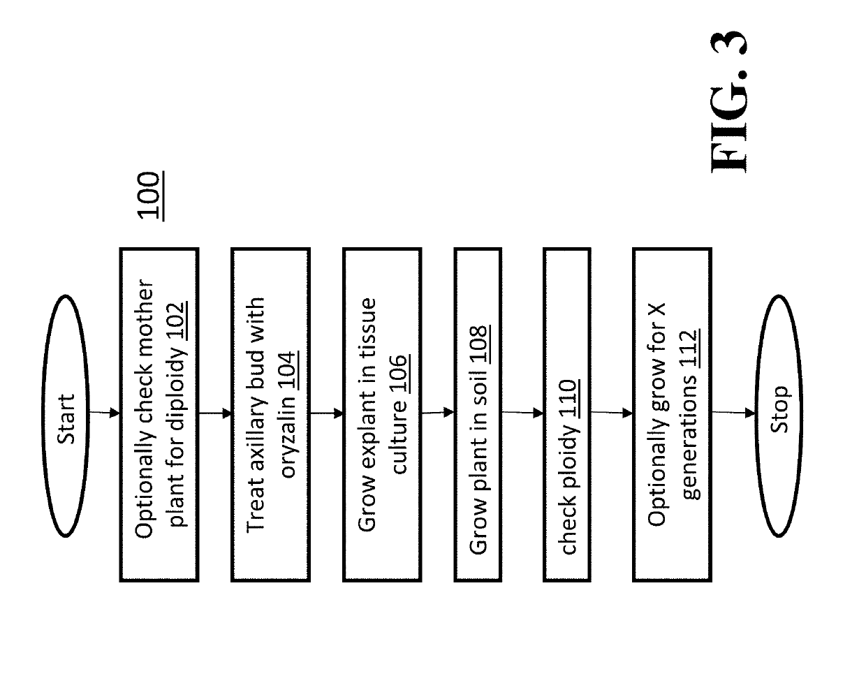 Methods for inducing polyploidy in cannabis