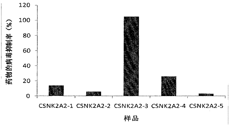 Structure and application of anti-ev71, Japanese encephalitis and influenza virus oligonucleotide targeting csnk2a2