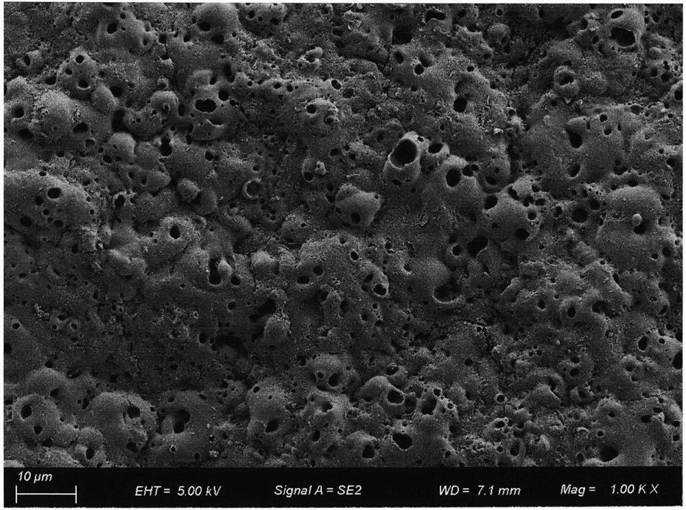 Corrosion-resistant conductive coating on surface of magnesium alloy and preparation method of corrosion-resistant conductive coating